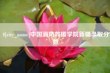 泉州中国消防救援学院新疆录取分数