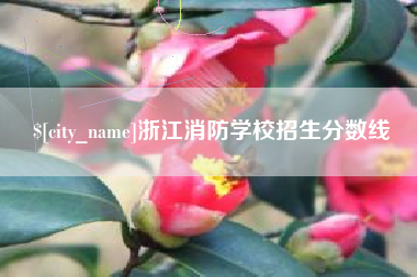 泉州浙江消防学校招生分数线