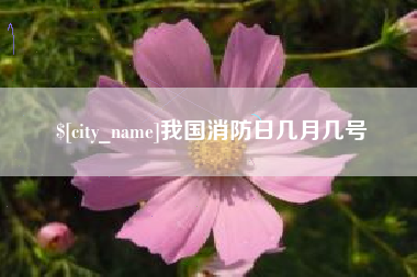 泉州我国消防日几月几号
