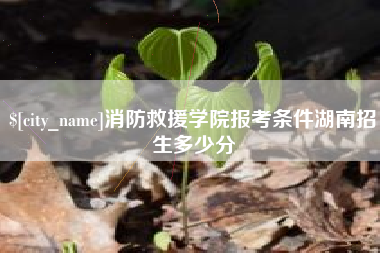 泉州消防救援学院报考条件湖南招生多少分