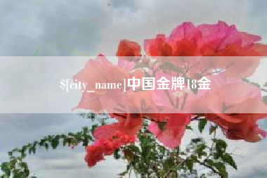 泉州中国金牌18金