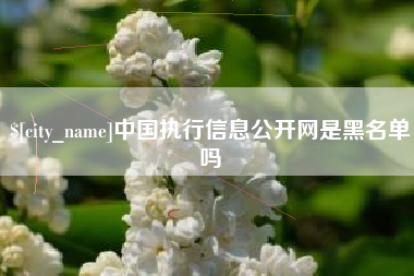 泉州中国执行信息公开网是黑名单吗