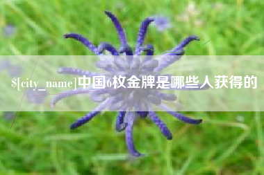 泉州中国6枚金牌是哪些人获得的