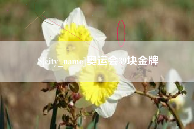 泉州奥运会39块金牌