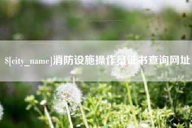 泉州消防设施操作员证书查询网址