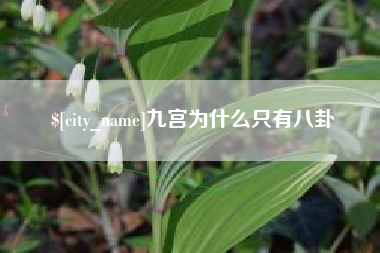 泉州九宫为什么只有八卦