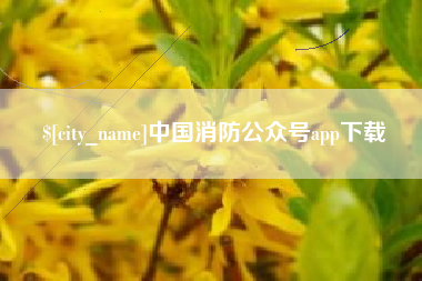 泉州中国消防公众号app下载