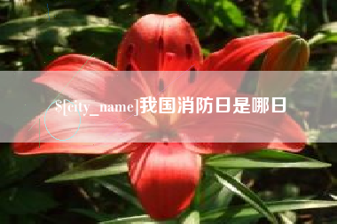 泉州我国消防日是哪日
