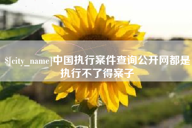 泉州中国执行案件查询公开网都是执行不了得案子