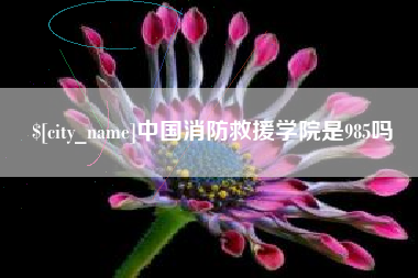 泉州中国消防救援学院是985吗