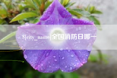泉州全国消防日哪一