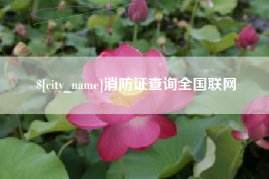 泉州消防证查询全国联网