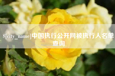 泉州中国执行公开网被执行人名单查询