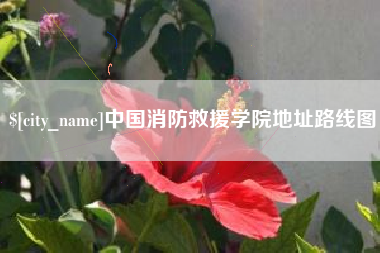 泉州中国消防救援学院地址路线图