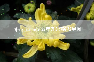 泉州2022年九宫格飞星图