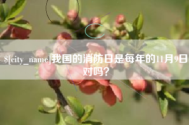 泉州我国的消防日是每年的11月9日对吗？