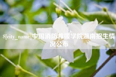 泉州中国消防救援学院湖南招生情况公布
