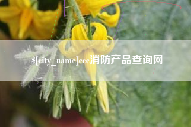 泉州ccc消防产品查询网