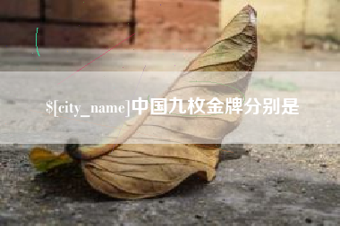 泉州中国九枚金牌分别是