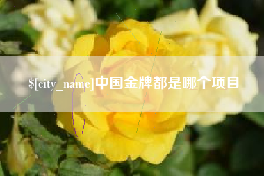 泉州中国金牌都是哪个项目