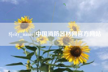 泉州中国消防器材网官方网站
