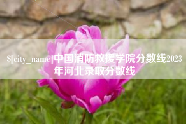 泉州中国消防救援学院分数线2023年河北录取分数线