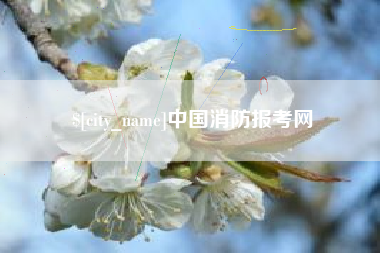泉州中国消防报考网