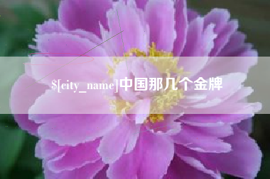 泉州中国那几个金牌