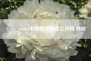 泉州中国执行信息公开网 网址