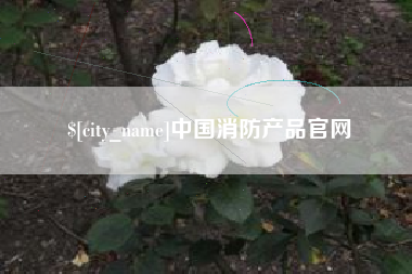 泉州中国消防产品官网