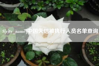 泉州中国失信被执行人员名单查询