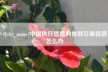 泉州中国执行信息网查到立案信息怎么办