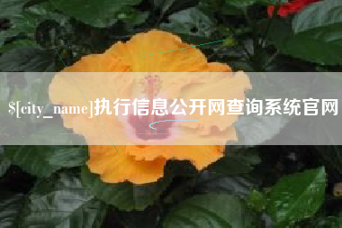 泉州执行信息公开网查询系统官网