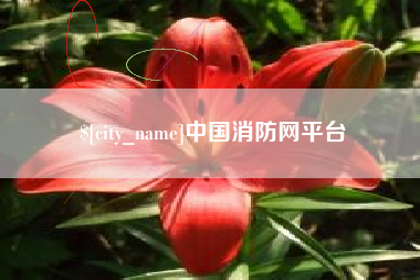 泉州中国消防网平台