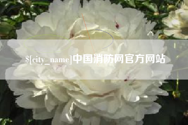 泉州中国消防网官方网站
