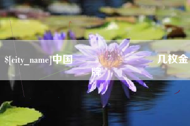 泉州中国🇨🇳几枚金牌