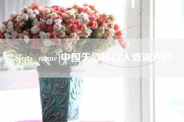 泉州中国失信执行人查询官网
