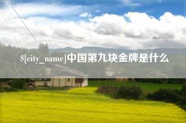 泉州中国第九块金牌是什么