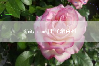 泉州王子豪百科
