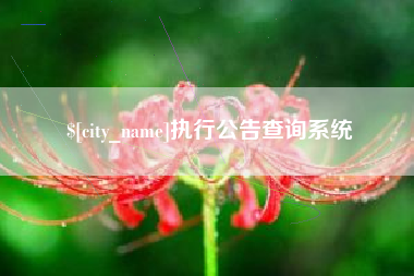 泉州执行公告查询系统