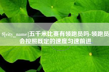 泉州五千米比赛有领跑员吗-领跑员会按照既定的速度匀速前进