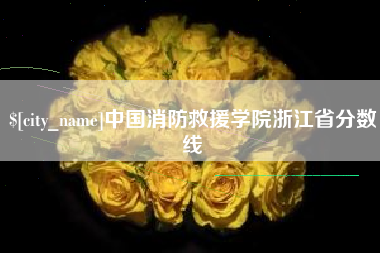 泉州中国消防救援学院浙江省分数线