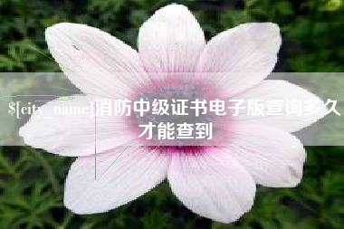 泉州消防中级证书电子版查询多久才能查到