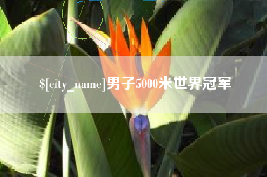 泉州男子5000米世界冠军