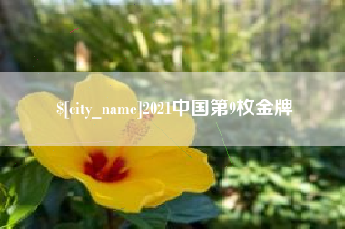泉州2021中国第9枚金牌