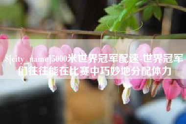 泉州5000米世界冠军配速-世界冠军们往往能在比赛中巧妙地分配体力