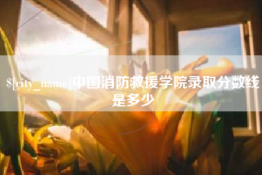泉州中国消防救援学院录取分数线是多少