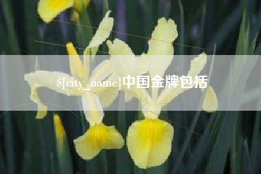 泉州中国金牌包括