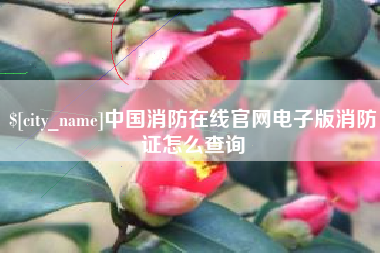 泉州中国消防在线官网电子版消防证怎么查询