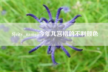 泉州今年九宫格的不利颜色